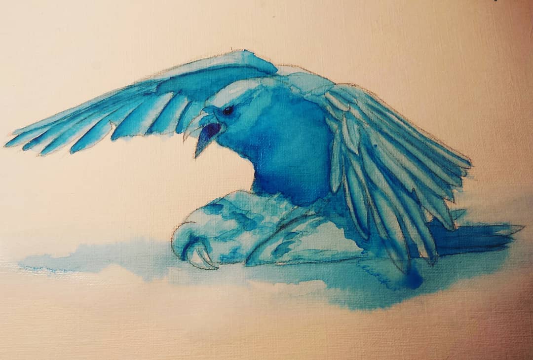 birds