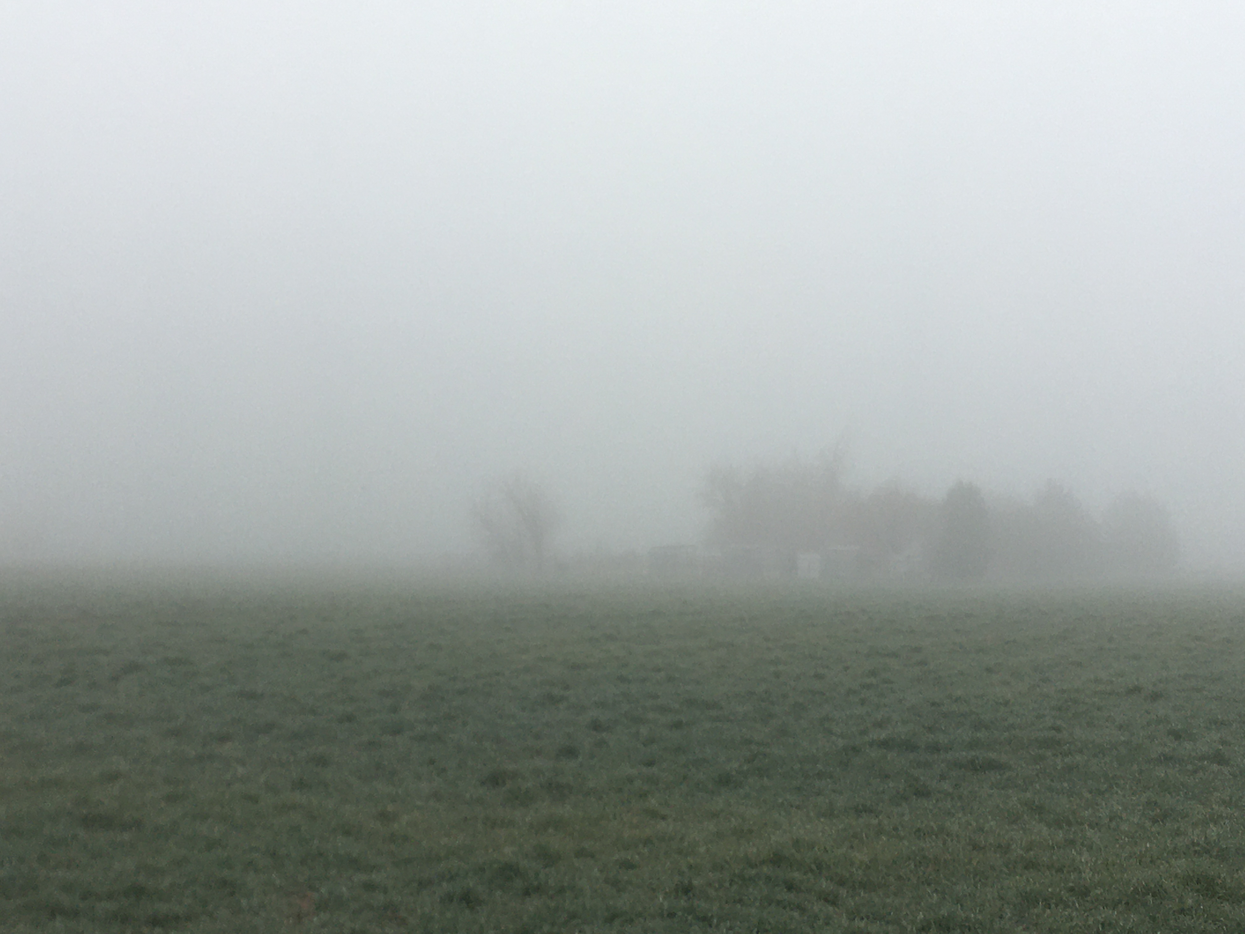 Mist