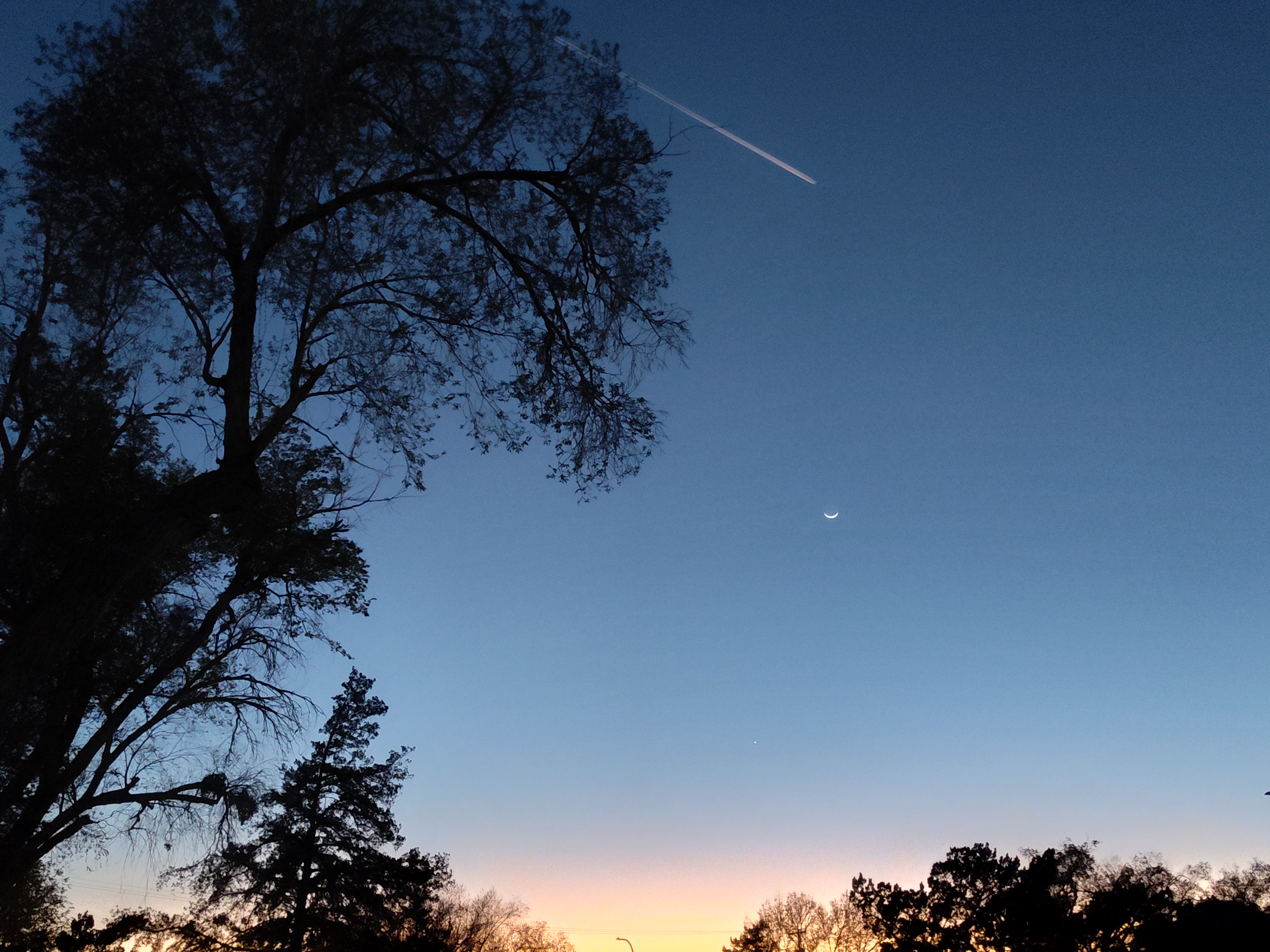 Moon Sunset